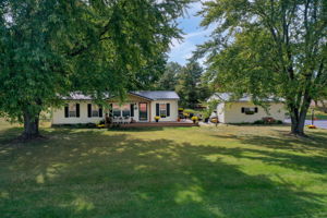  Photo 41