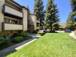  Photo 0