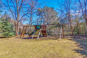 Backyard Jungle Gym