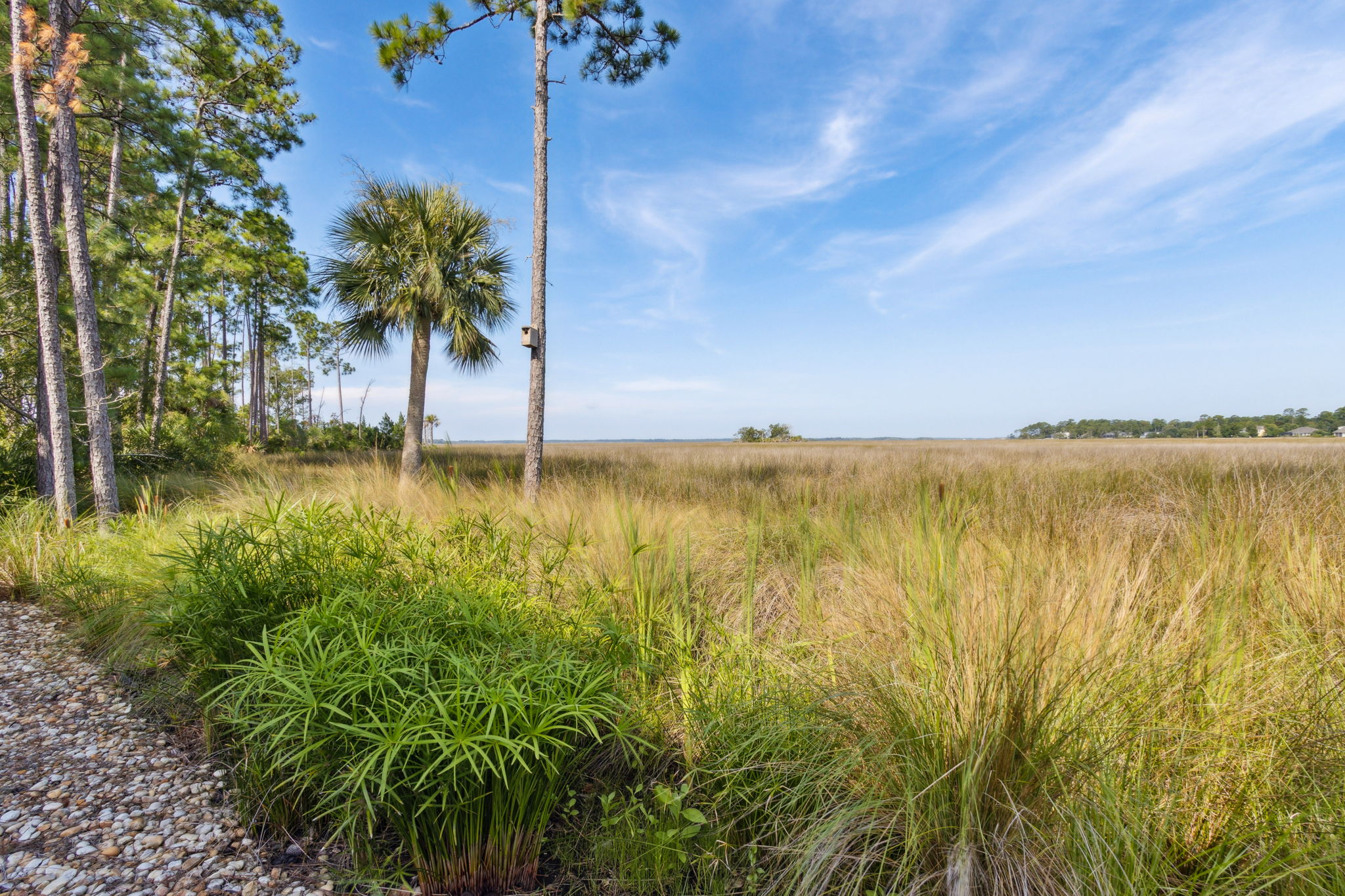 Marsh View