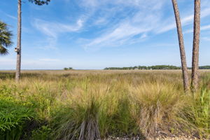 Marsh View