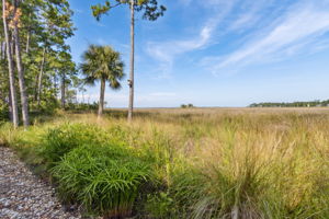 Marsh View
