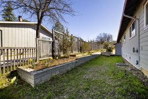  Photo 43