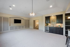 09 - 2051 Brawley School Rd - Game Room & Entertainment area (2)