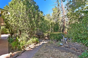 1/3 Acre Lot