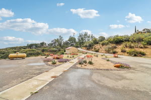 Bexley Rd-005