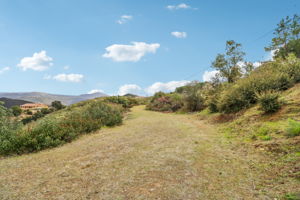 Bexley Rd-010