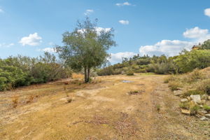 Bexley Rd-063