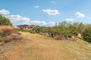 Bexley Rd-072