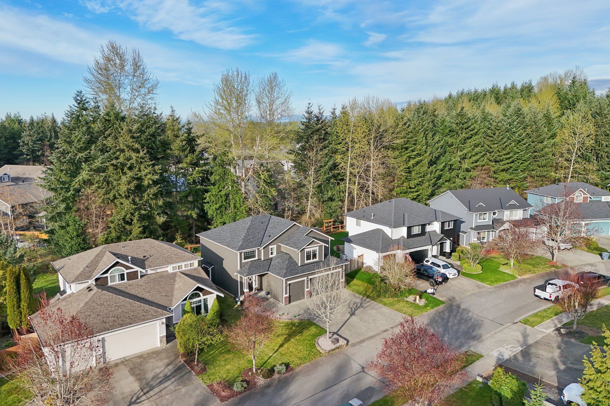 193rd Ave Ct E-L0704-048.jpg