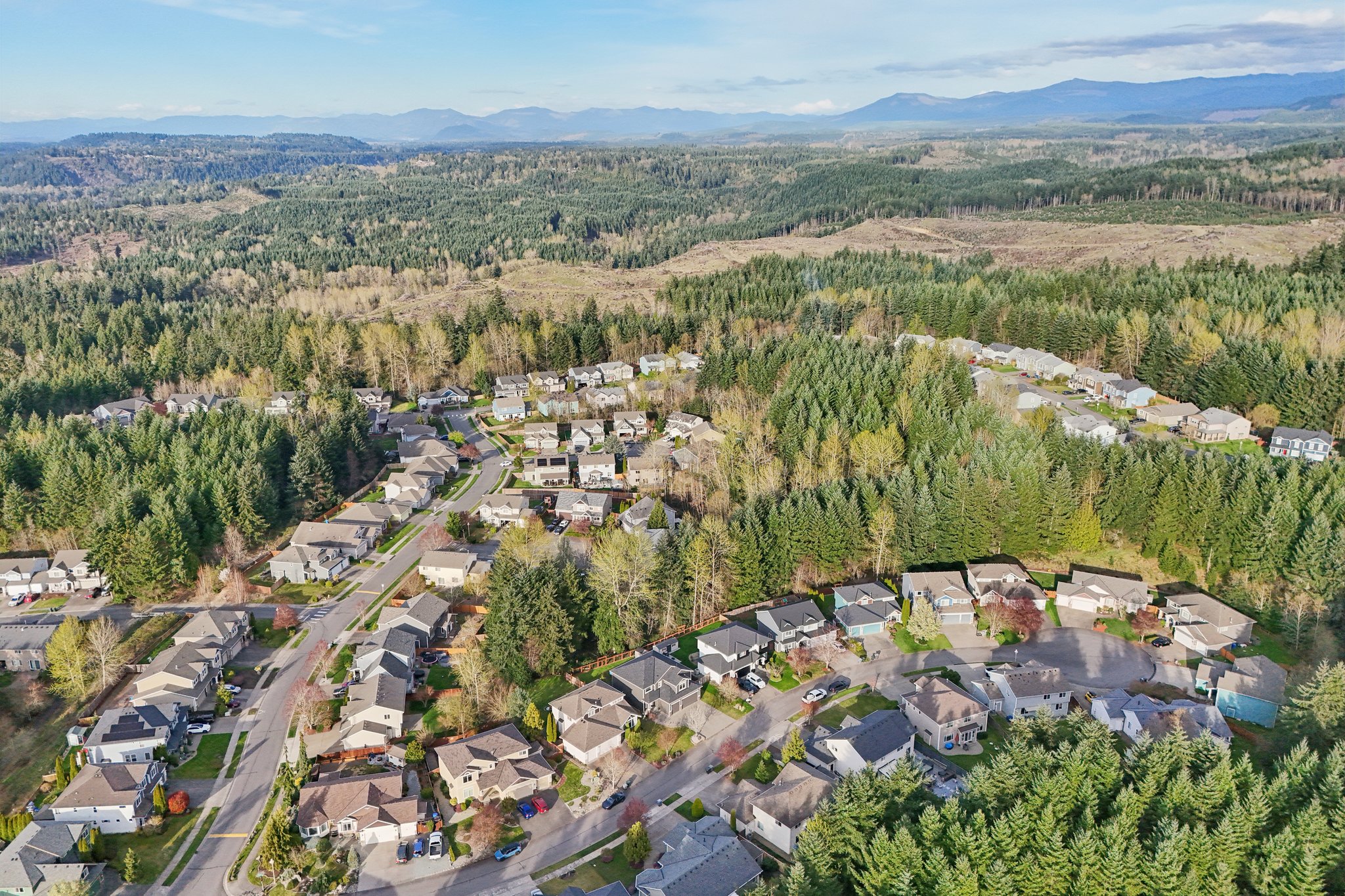 193rd Ave Ct E-L0704-051.jpg