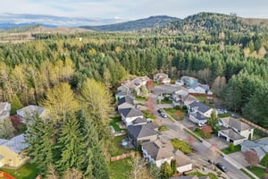 193rd Ave Ct E-L0704-054.jpg