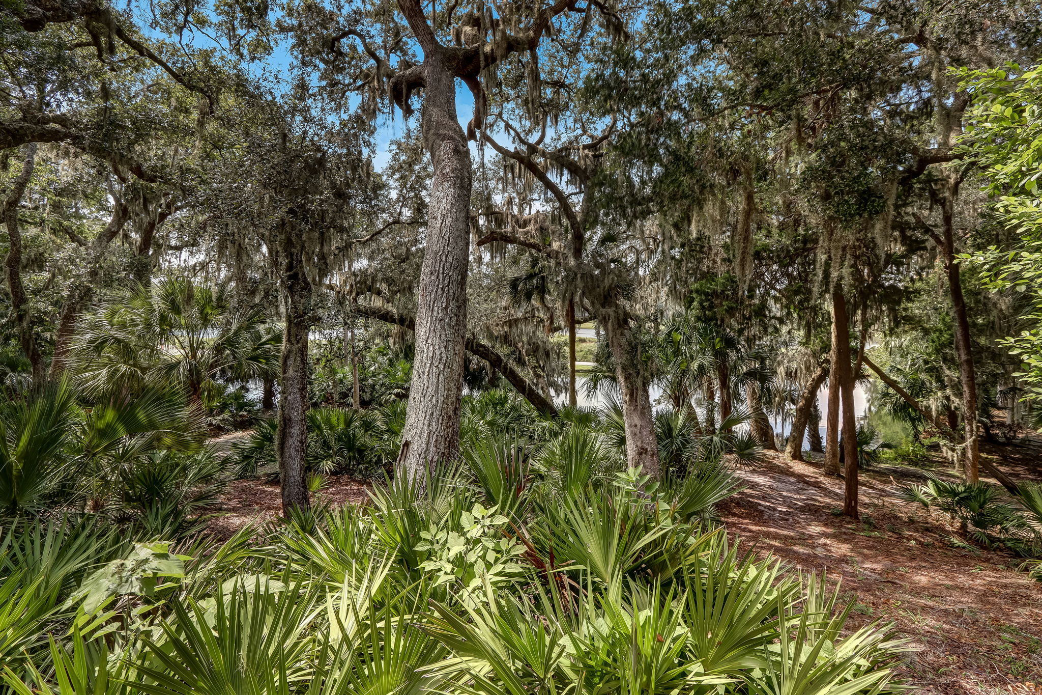 Patio View