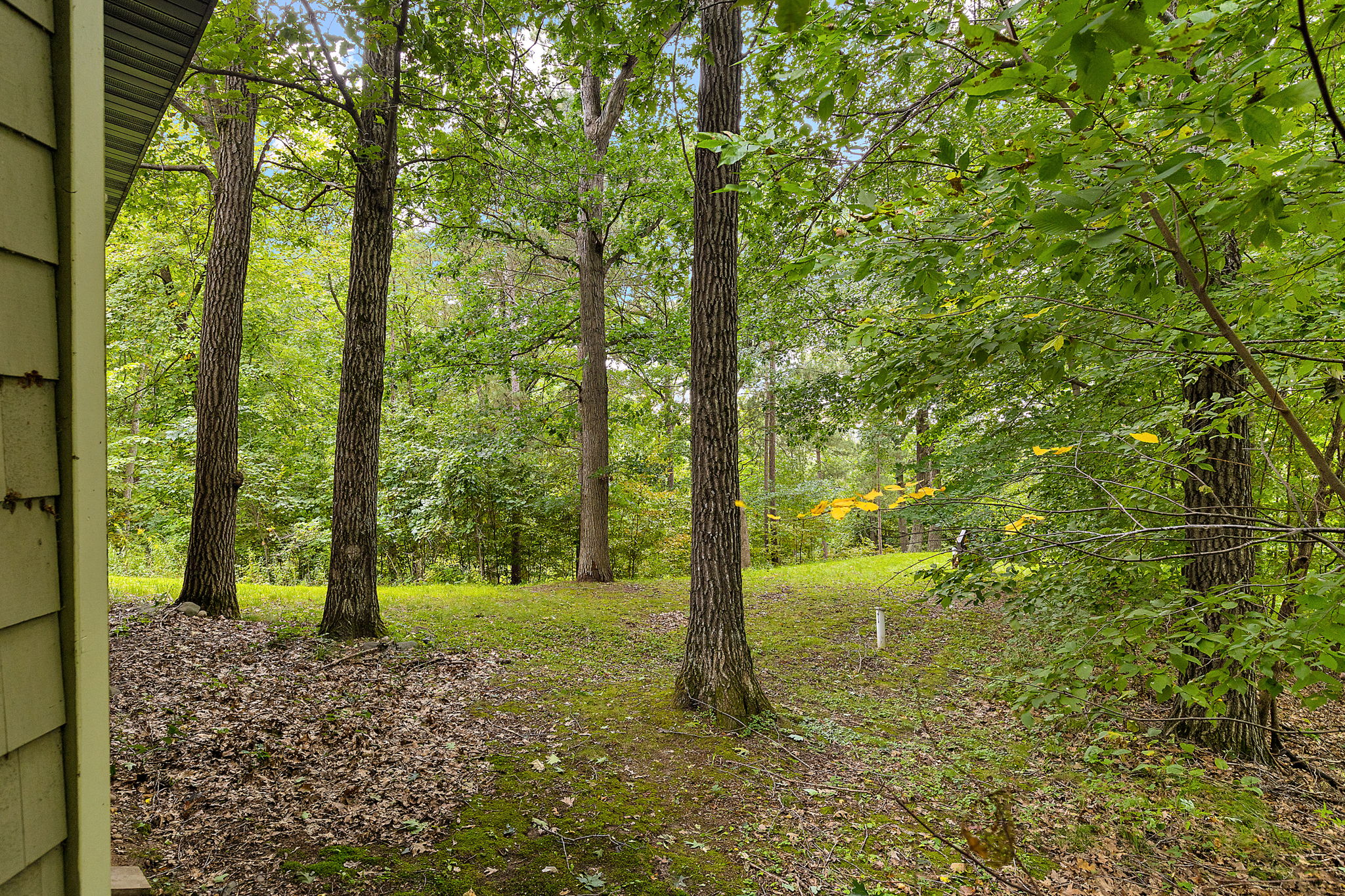 UAV Vision Media (5)