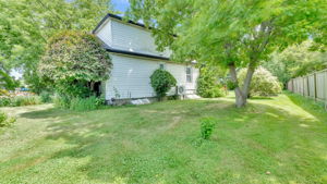  Photo 39