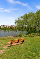  Photo 48