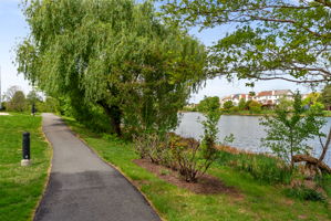  Photo 50