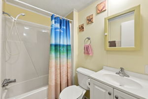 Guest Full Bathroom