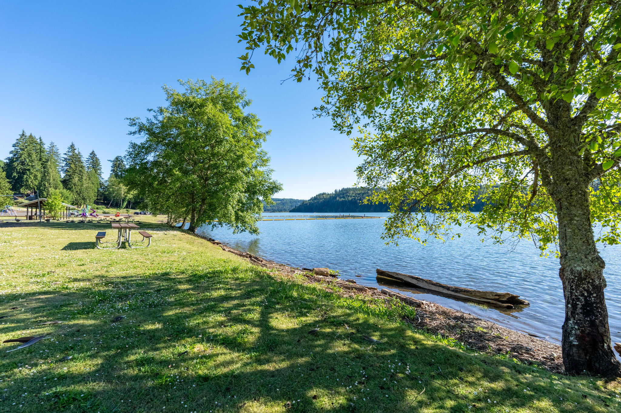 nearby Mayfield Lake park