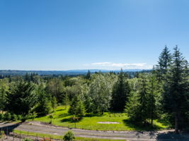 lower pasture area