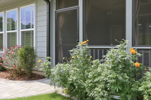  Photo 49