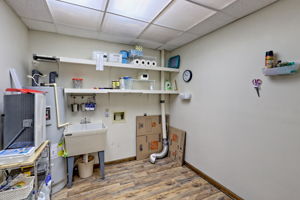  Photo 49