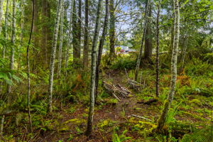  Photo 49
