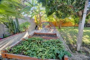  Photo 38