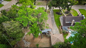  Photo 47