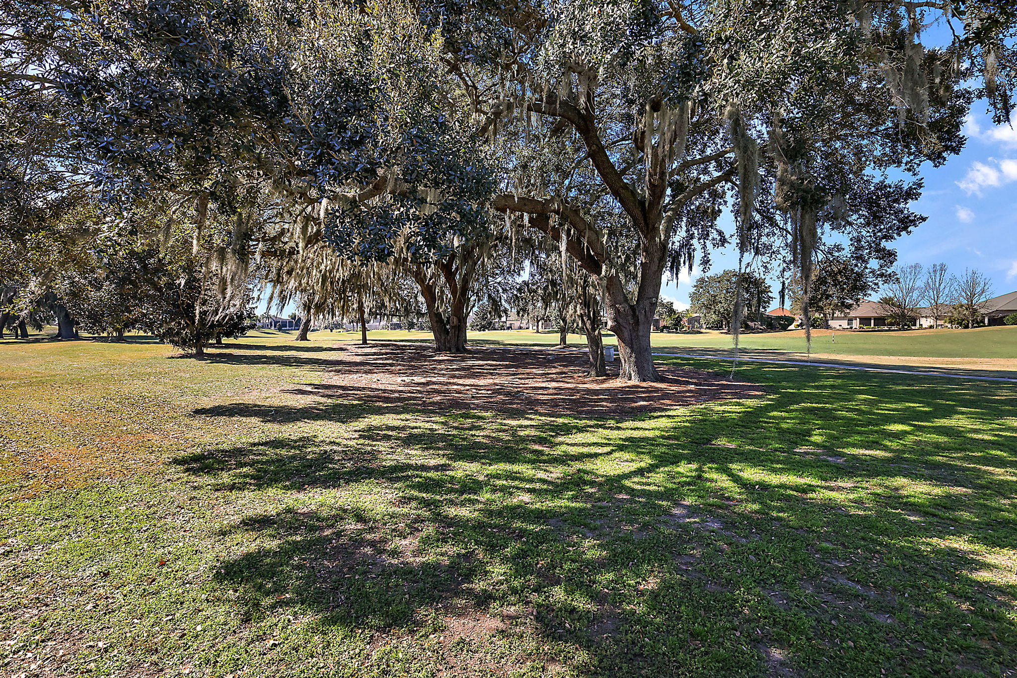 Rear Golf Course Views