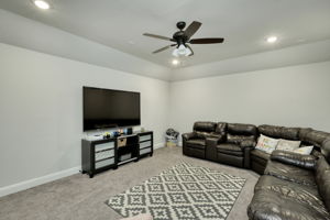 Media Room/Flex Space