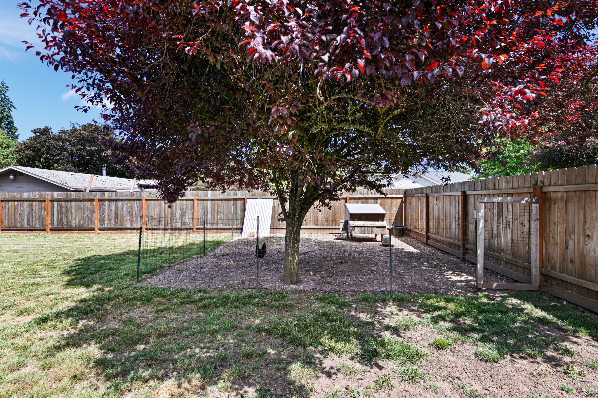  Photo 30