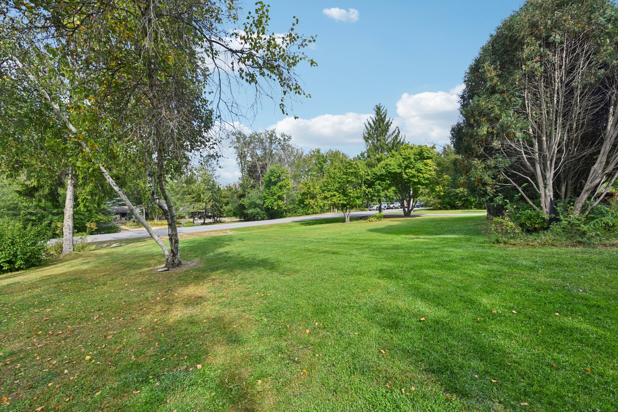 Ridgeview Dr-S0210-045.jpg