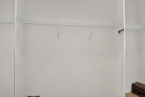  Photo 50