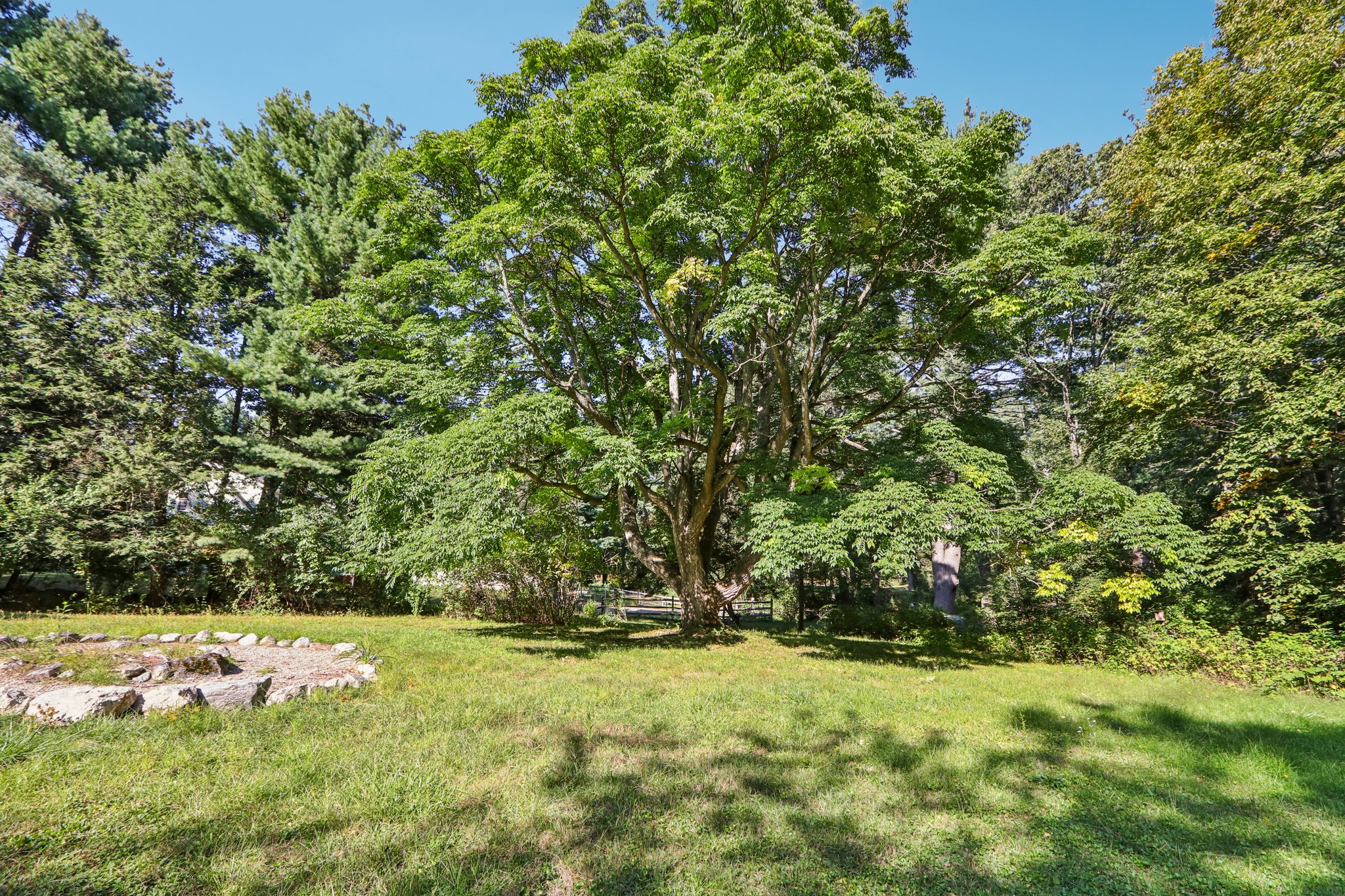 Boxboro Rd-S1009-042.jpg