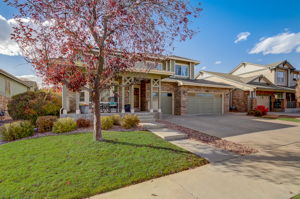 N Coolidge Way-001
