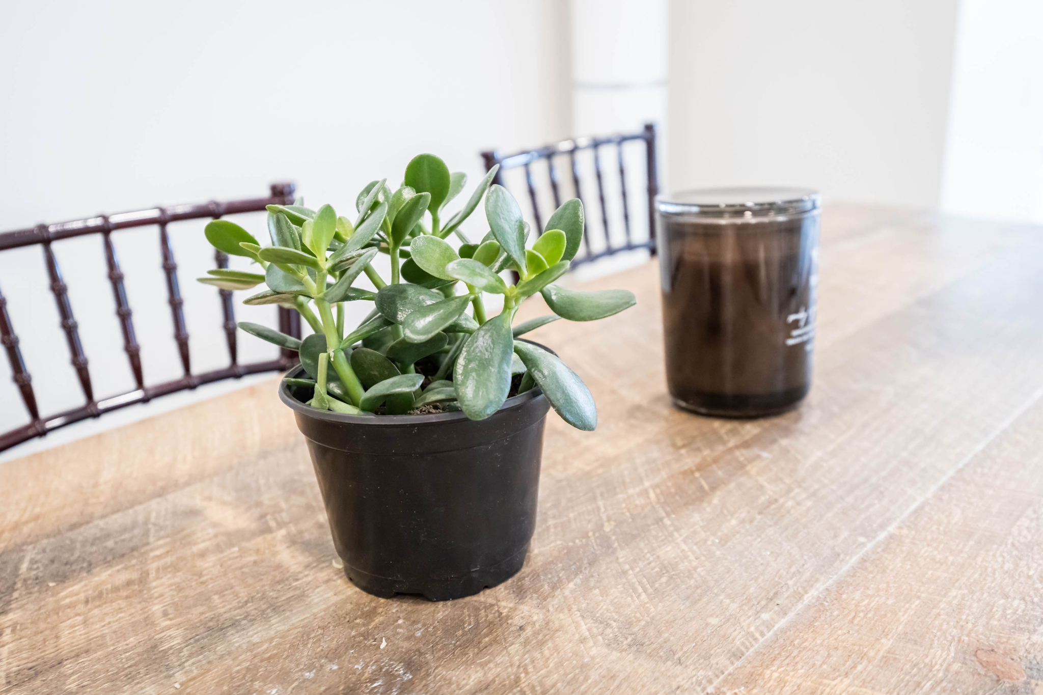 Toronto property showcase — delivered property photograph 25