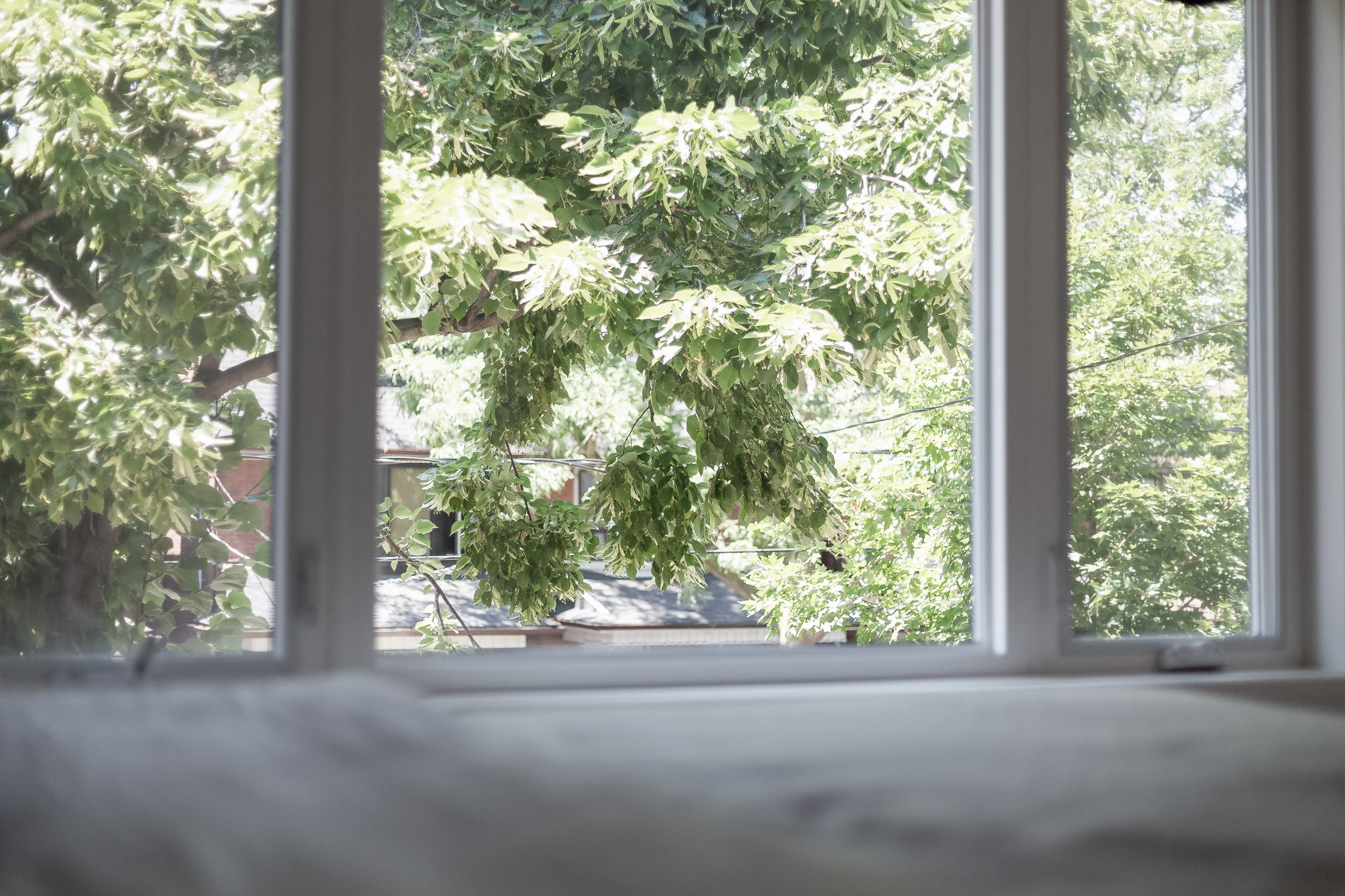 Toronto property showcase — delivered property photograph 21