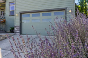  Photo 49