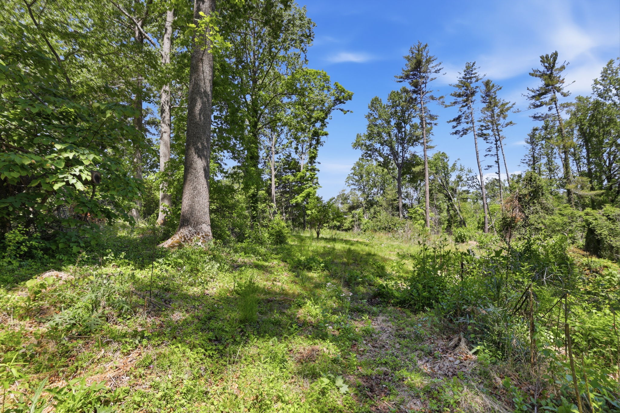 portion of lot B that can be purchased separately