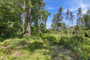 portion of lot B that can be purchased separately