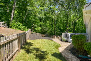 Fenced Back Yard