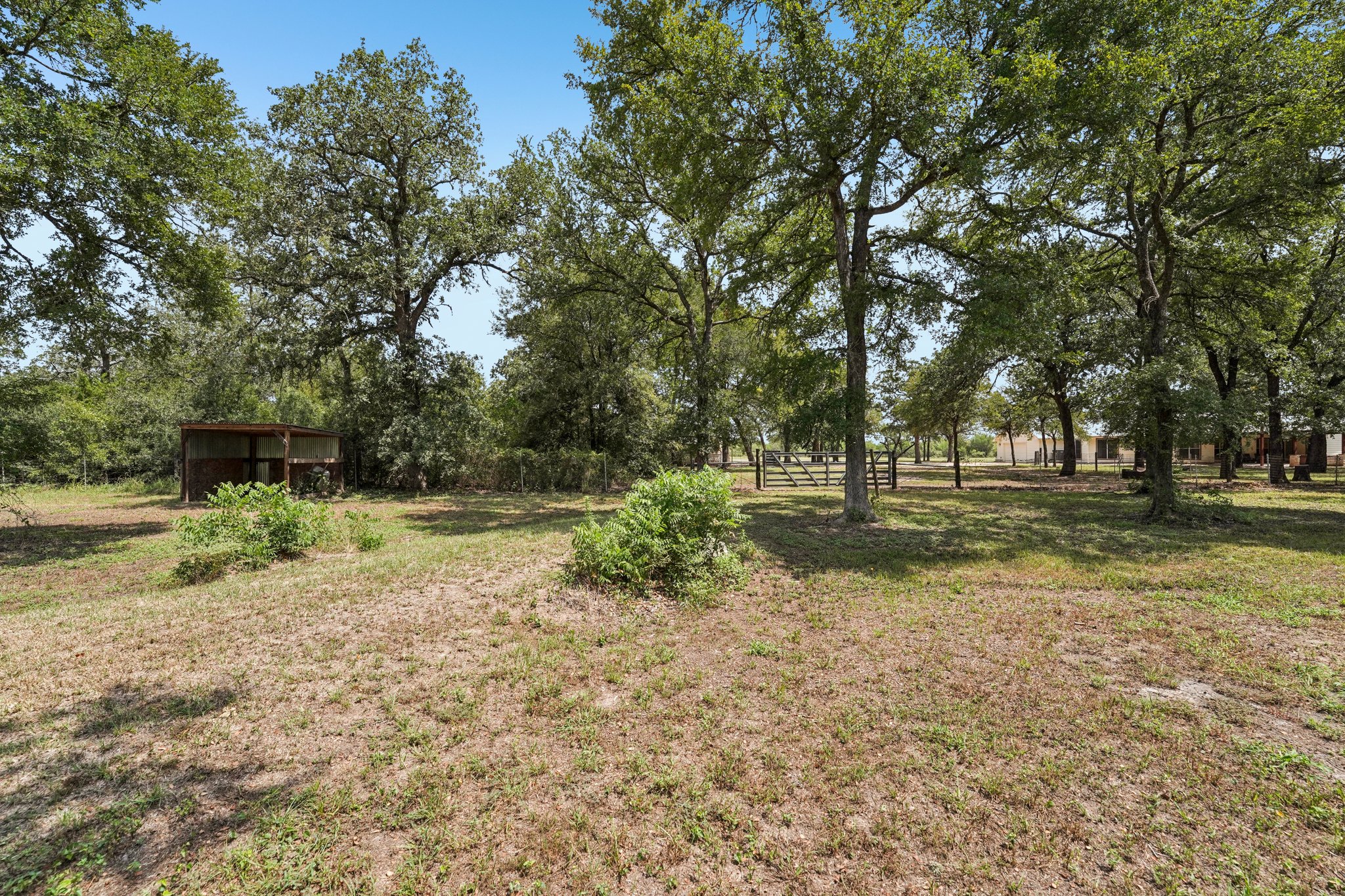 Ed Acklin Rd-S2608-064.jpg