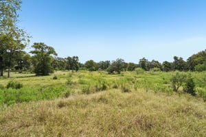 Ed Acklin Rd-S2608-062.jpg