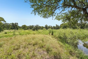 Ed Acklin Rd-S2608-063.jpg