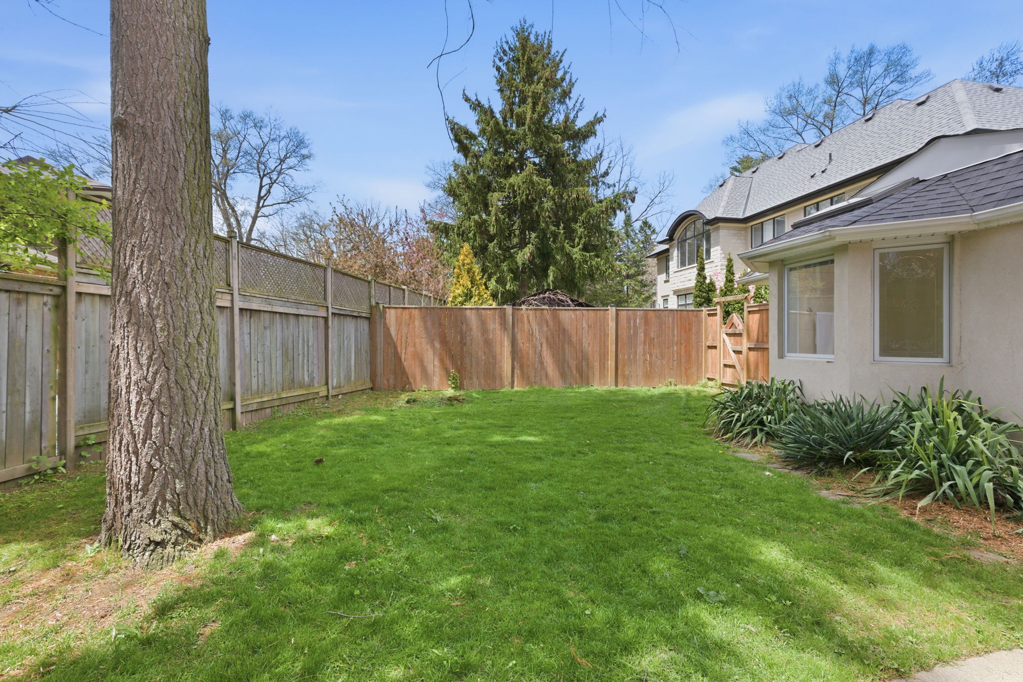 Property in Mississauga — delivered property photograph 53