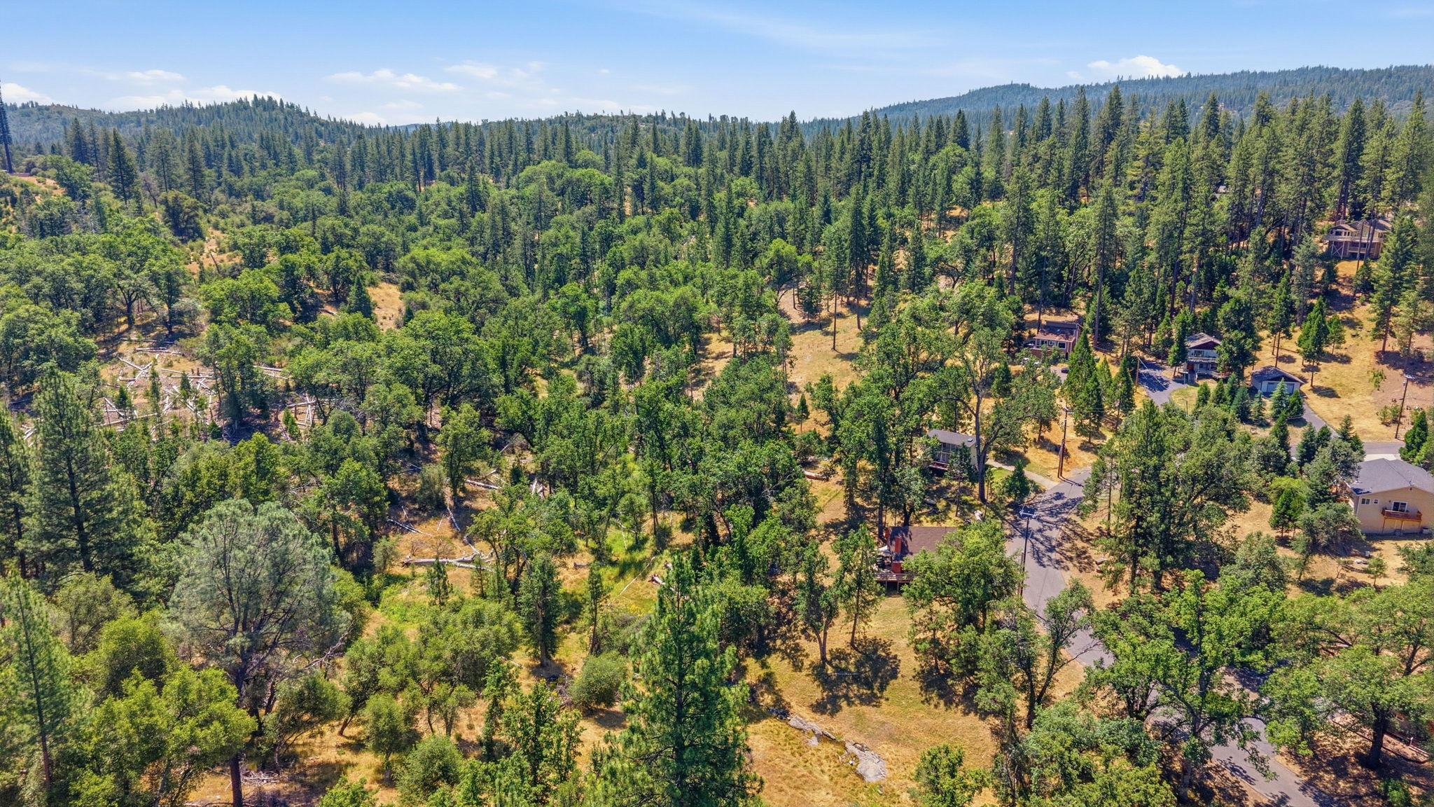  Photo 49