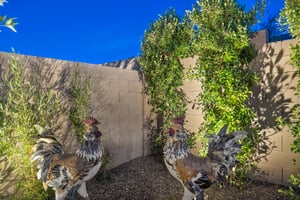 20797 W Rattler Rd, Buckeye, AZ 85396 - 018.jpg