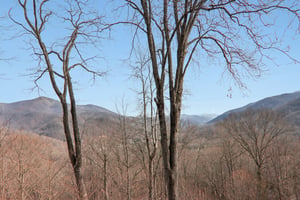Buckeye Rd-S2502-066.jpg