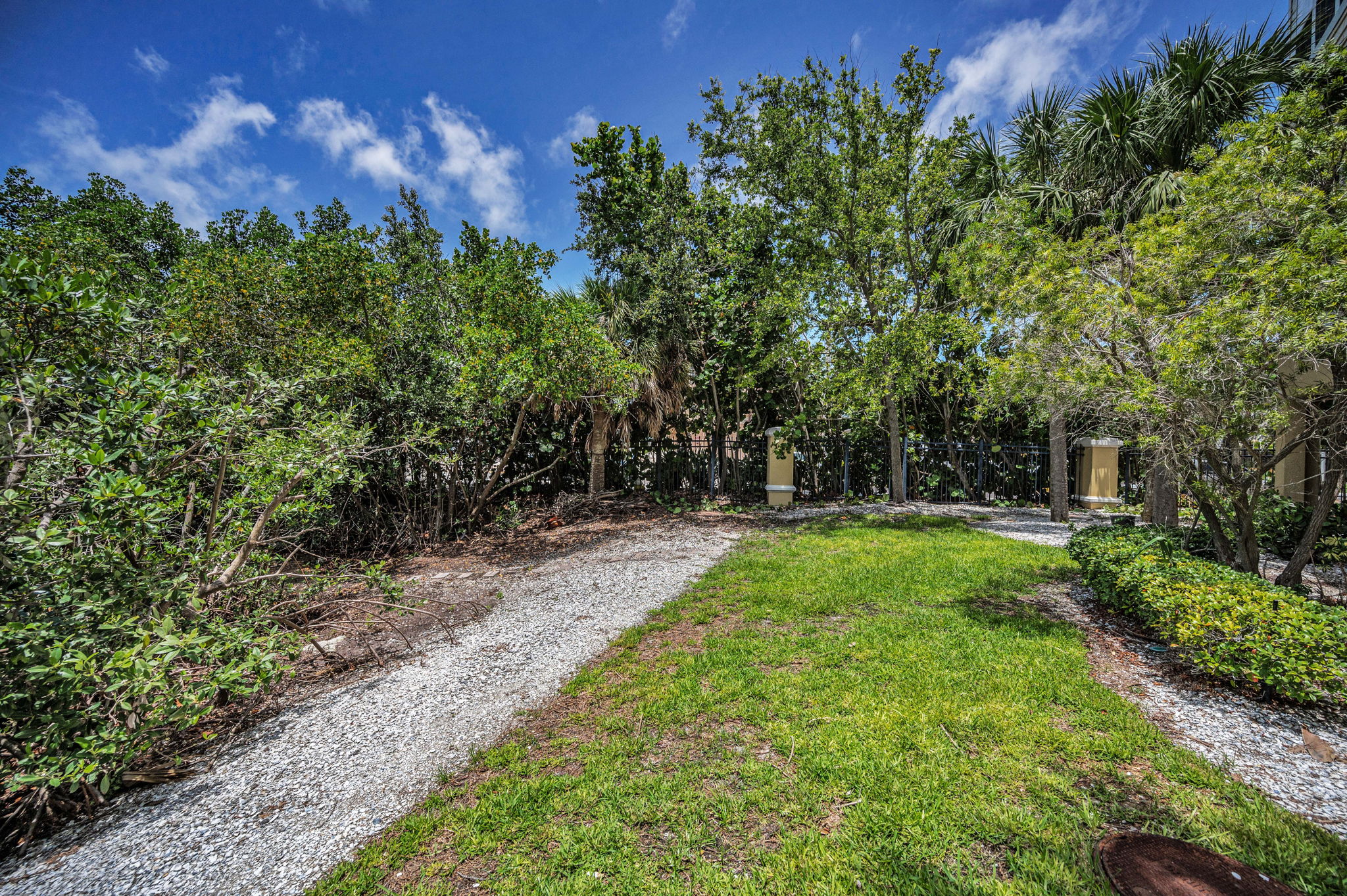 Backyard3